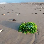 7 Person In Fjerritslev-by Traum Hébergement de vacances